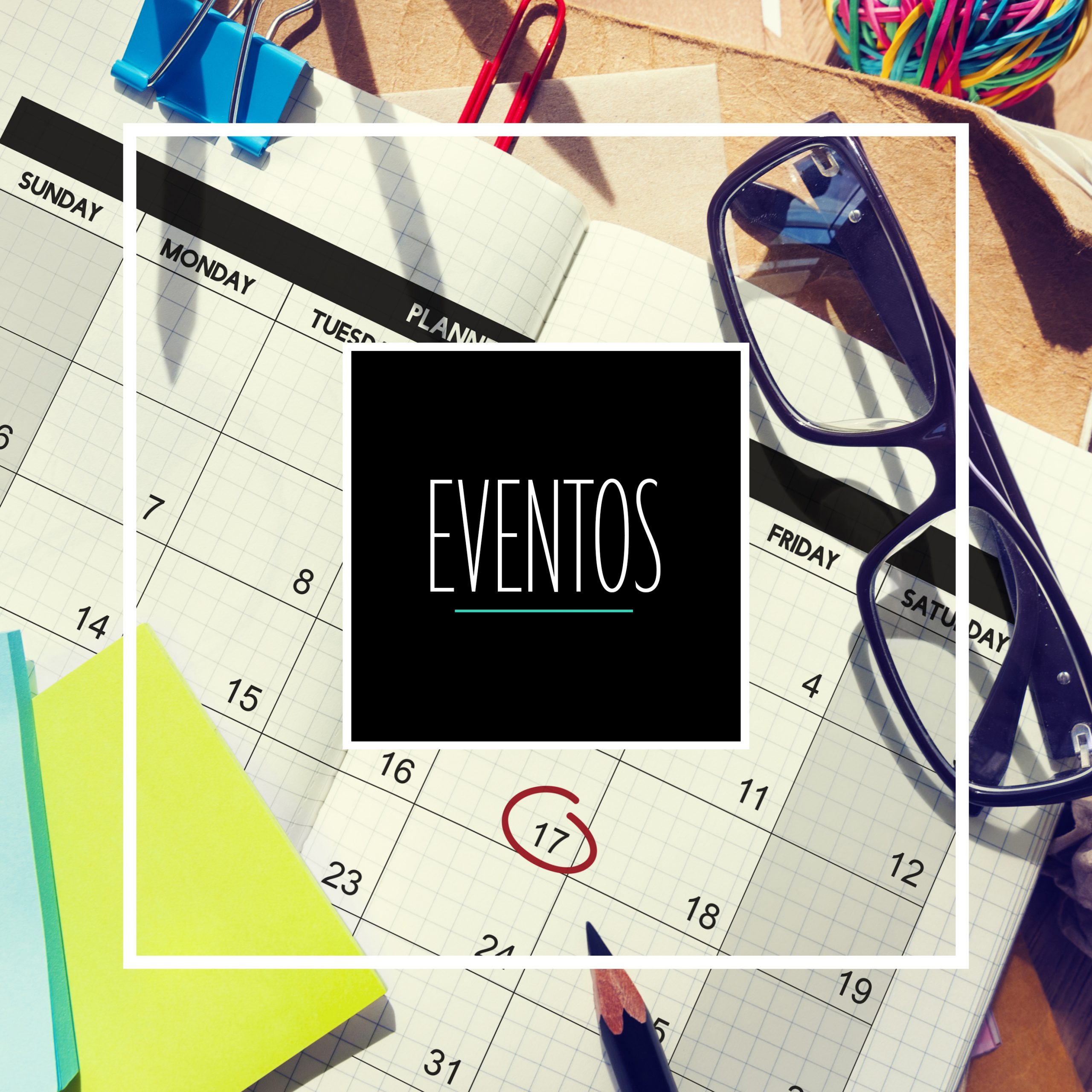 Phoenix_estudio_Gran_canaria_Espana_las_canteras_estudio_eventos