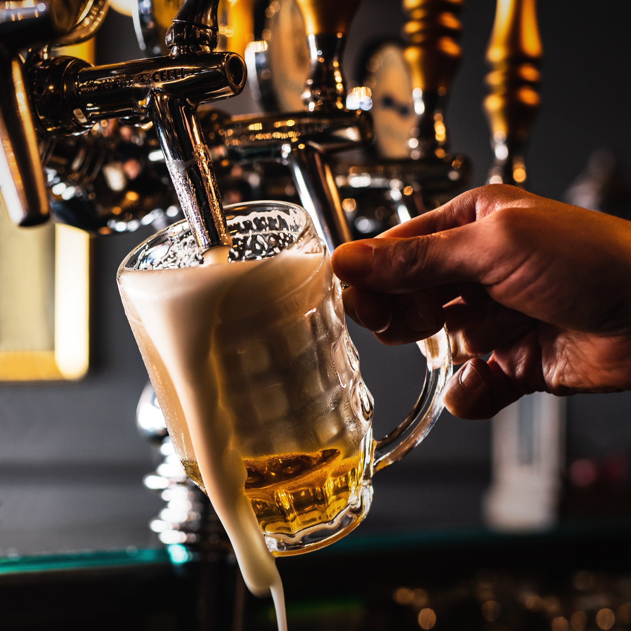 Phoenix_estudio_Gran_canaria_Espana_las_canteras_estudio_proyectos_antica_birreria_servicio_foto_2